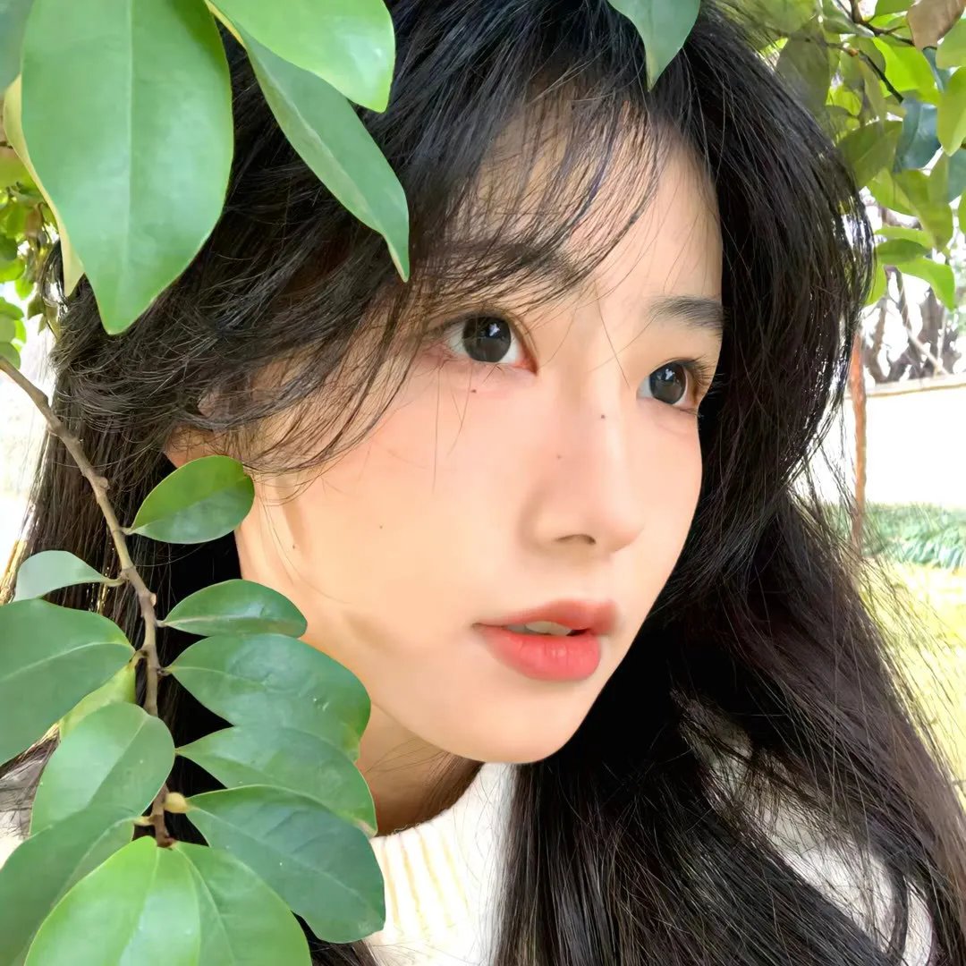 理想禁区